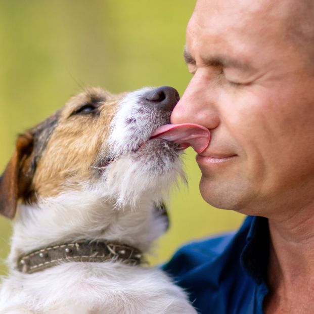 Perro dando beso a su dueño