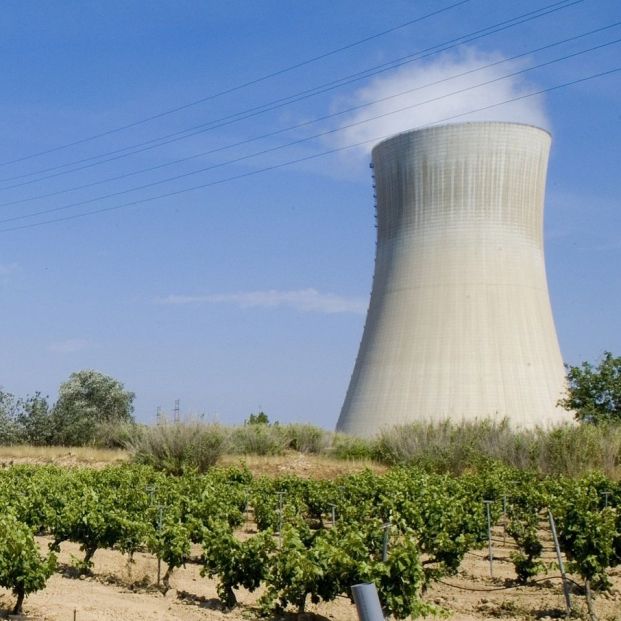 La débil memoria de Pedro Sánchez sobre las centrales nucleares
