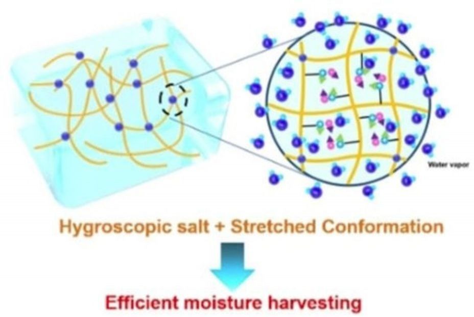 hidrogel recolecta agua aire (1)