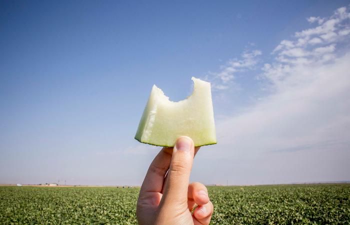 fiestas del melon  Murcia Turística