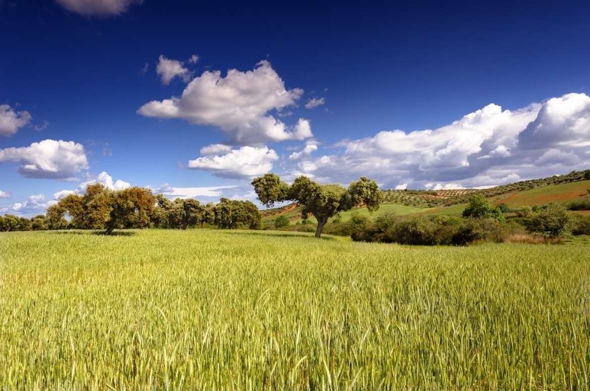 La Comunidad de Madrid colabora con la producción agroalimentaria ecológica y la sostenibilidad . Foto: Europa Press