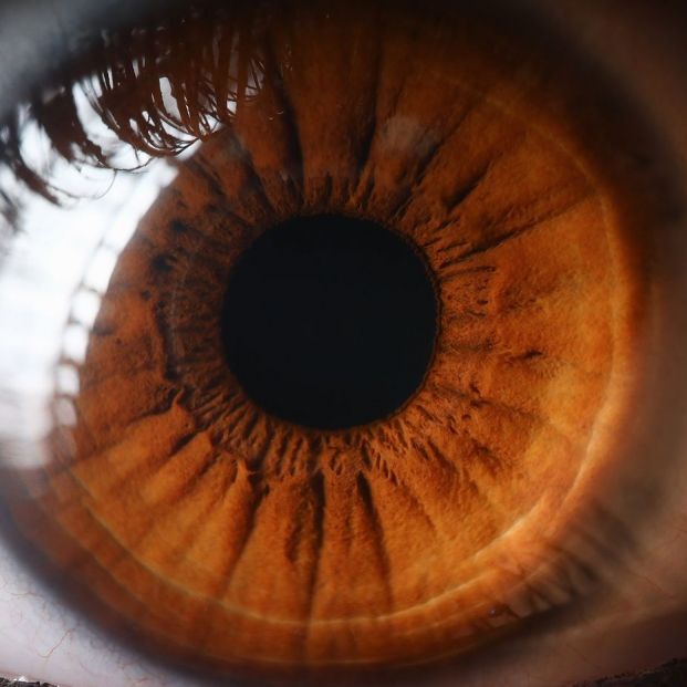 ojo humano ojo humano
