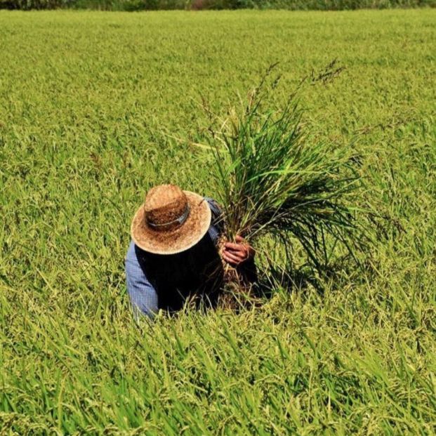 Calasparra Arroz, casco antiguo y naturaleza