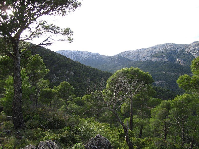 Totana, una joya de la Sierra Espuña con deliciosa gastronomía. Foto: Wikipedia