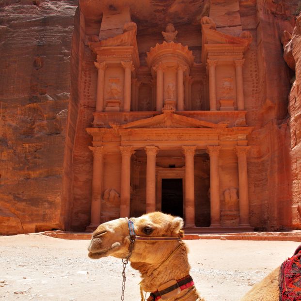 Quick 4948500 xxl Camel near Treasury temple at Petra