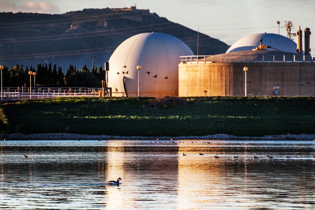 La evolución 'verde' de las lagunas del Cabezo Beaza inaugura los 'Encuentros para la Biodiversidad'