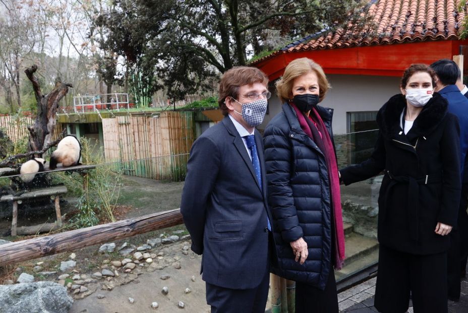 El Zoo de Madrid celebra sus 50 años con dos nuevos pandas y Chu-Lin en el recuerdo