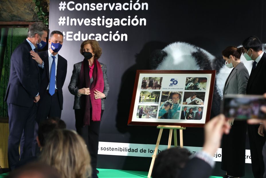 El Zoo de Madrid celebra sus 50 años con dos nuevos pandas y Chu-Lin en el recuerdo