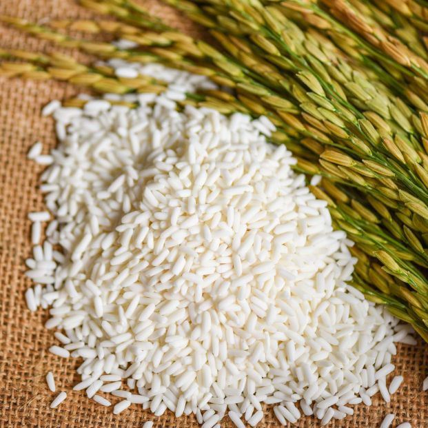 El primer arroz en el mundo que consiguió la Denominación de Origen
