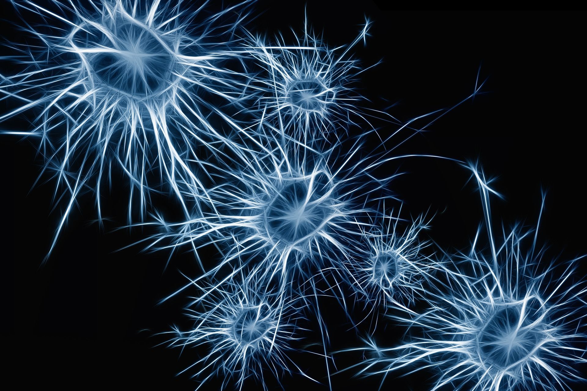 Las neuronas siguen formándose hasta después de los 90 años e incluso en personas con alzhéimer