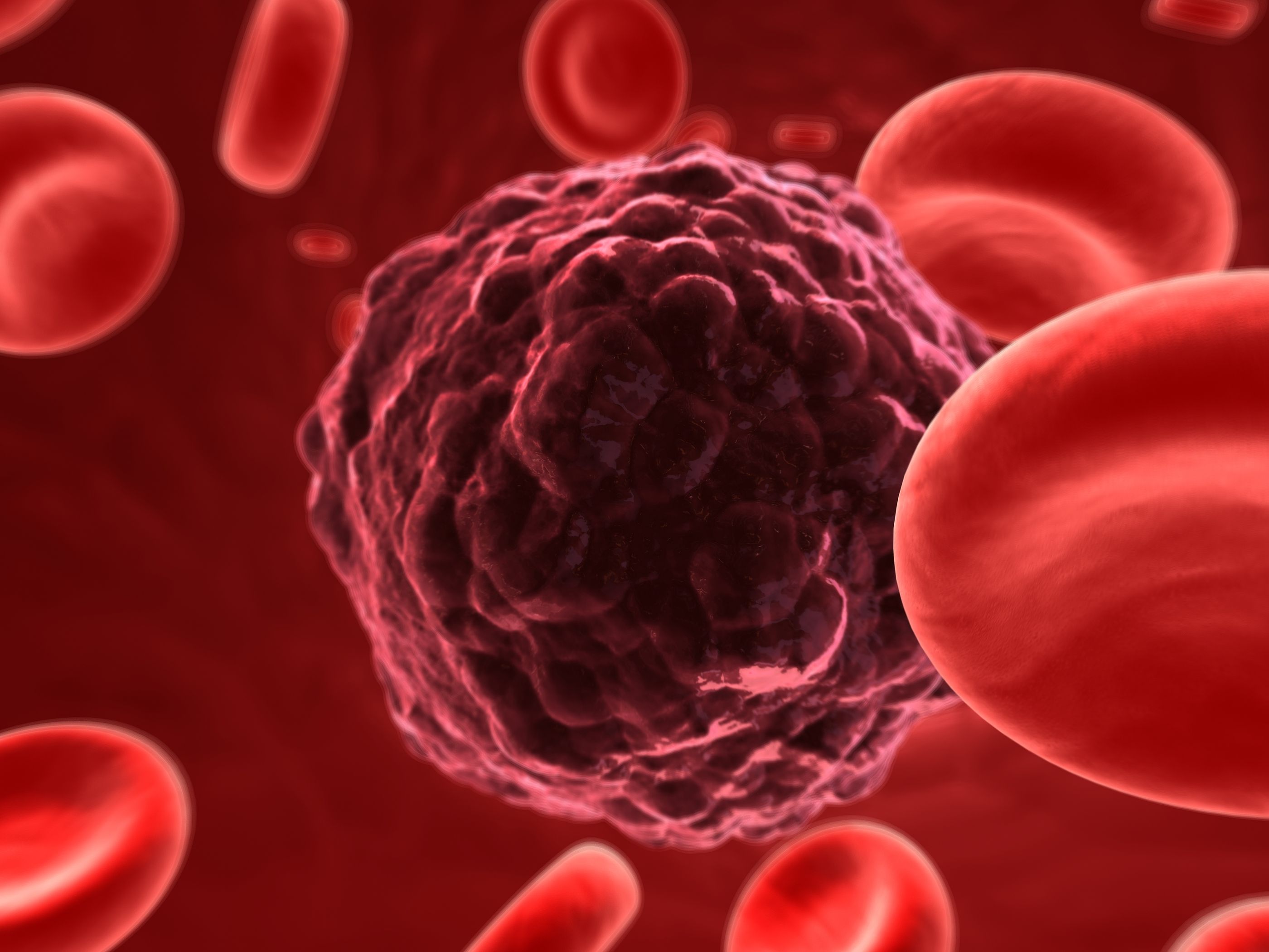 Monitorización de la terapia hadrónica contra el cáncer Monitorización de la terapia hadrónica contra el cáncer