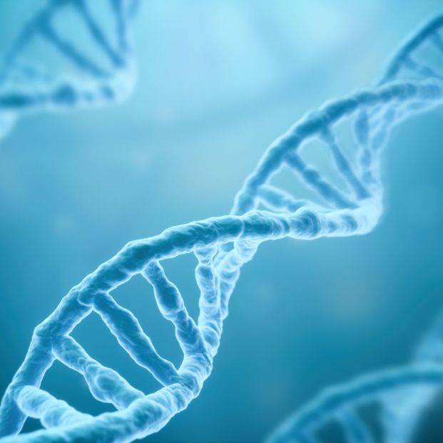 Descifran por primera vez el genoma completo del ser humano. Foto: Bigstock Descifran por primera vez el genoma completo del ser humano. Foto: Bigstock
