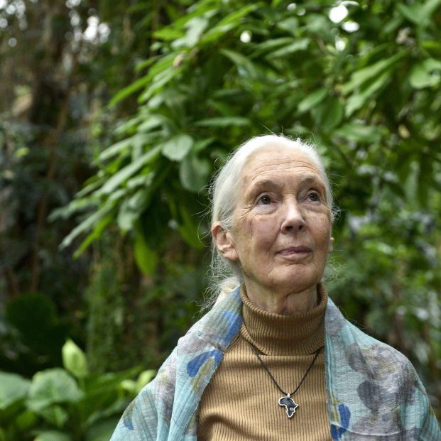 Jane Goodall cumple 88 años: "Me quedo sin tiempo y debo dar buen uso a mis últimos años"