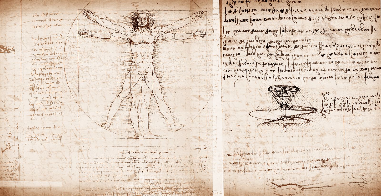 El hombre de Vitruvio de Leonardo Da Vinci (Bigstock)